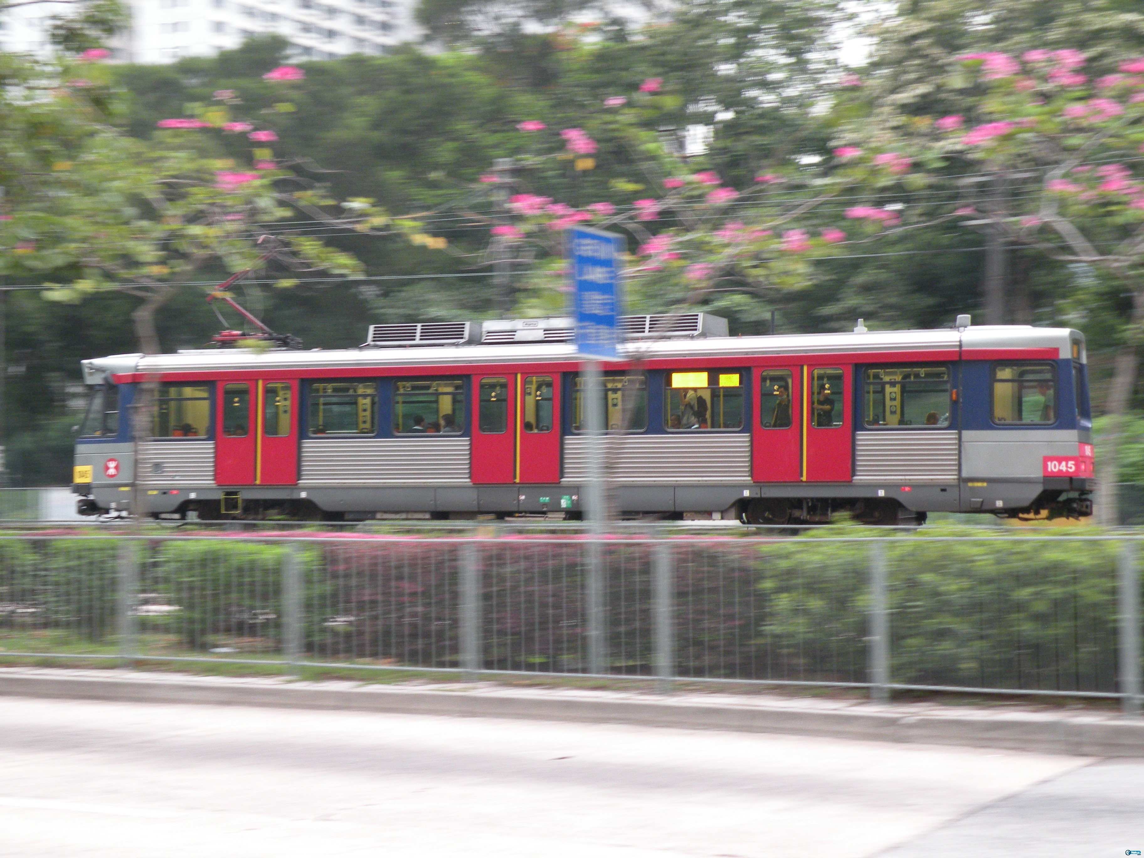 DSCN2682.jpg