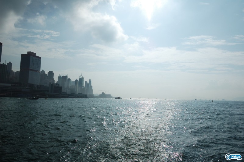 DSC_3532_01.JPG