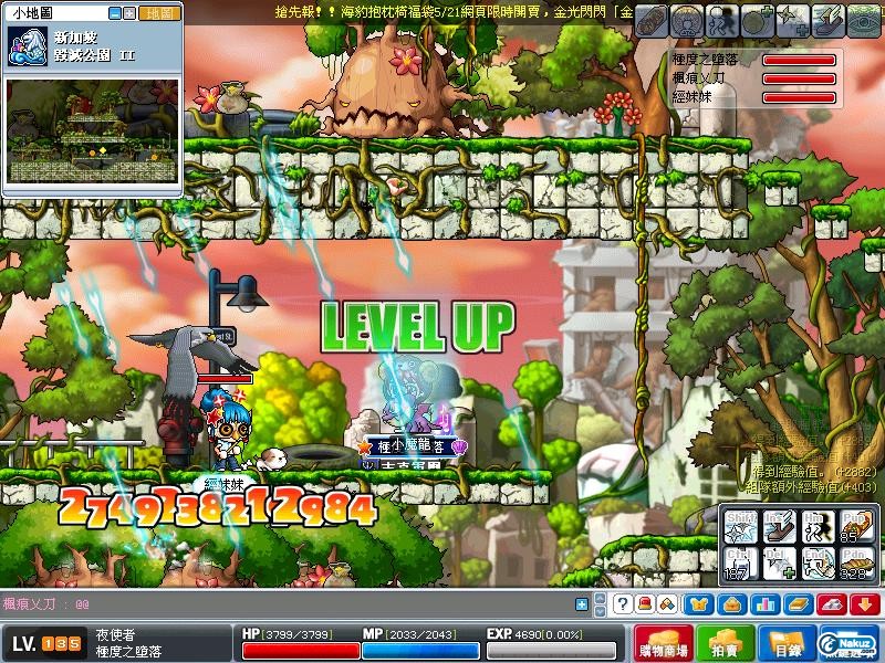 Maple0314.jpg