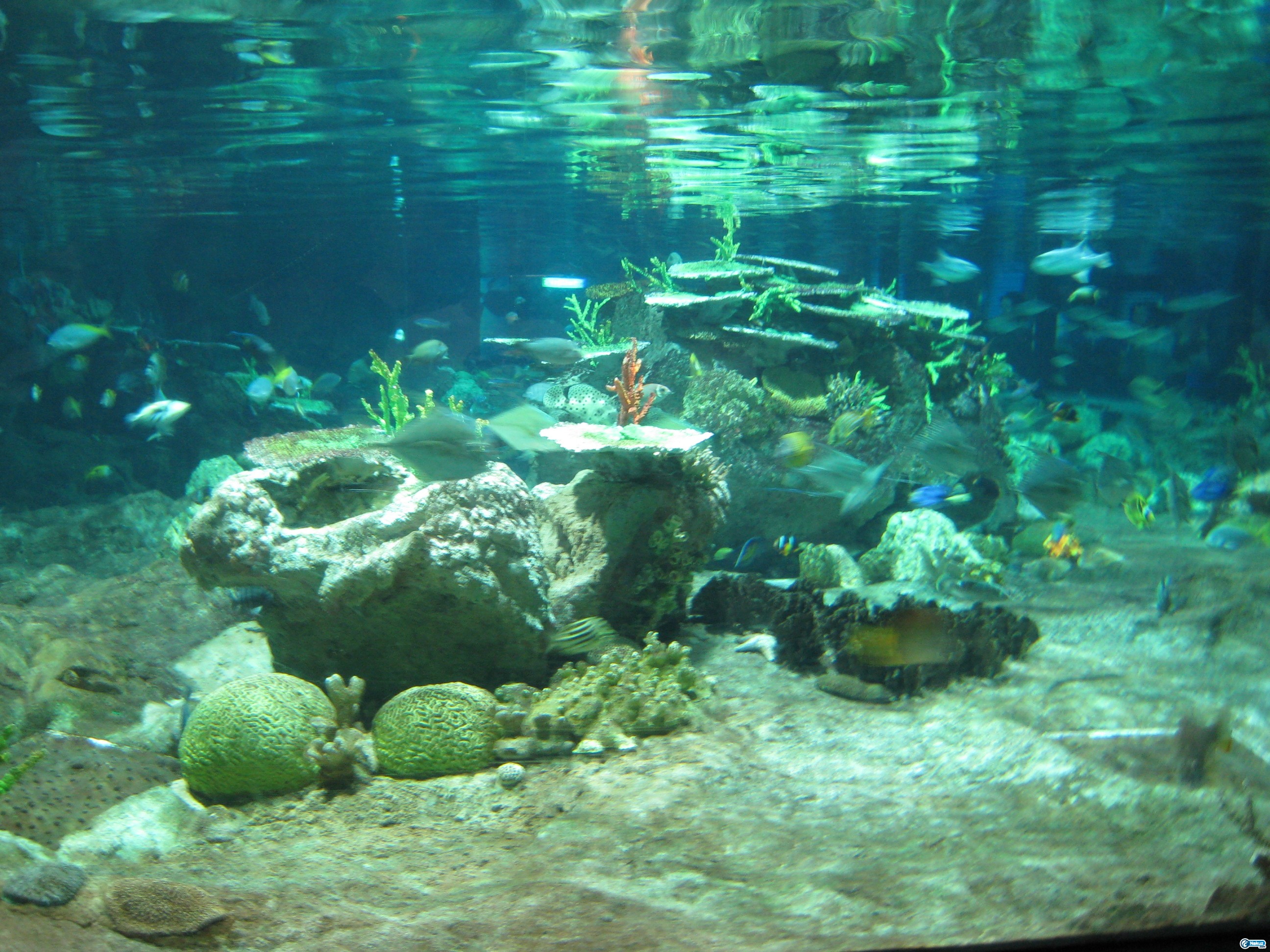 IMG_0322.JPG