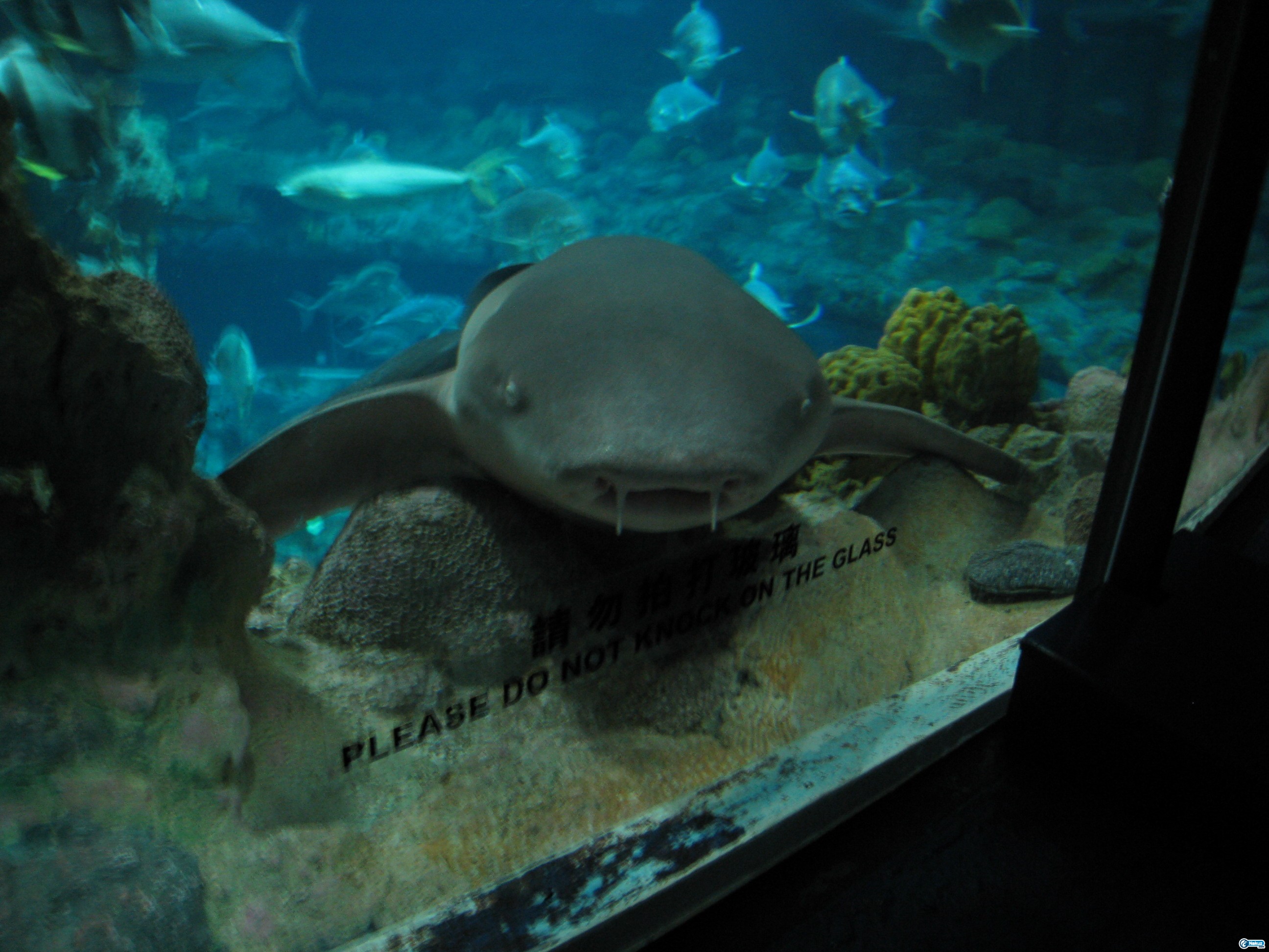 IMG_0331.JPG