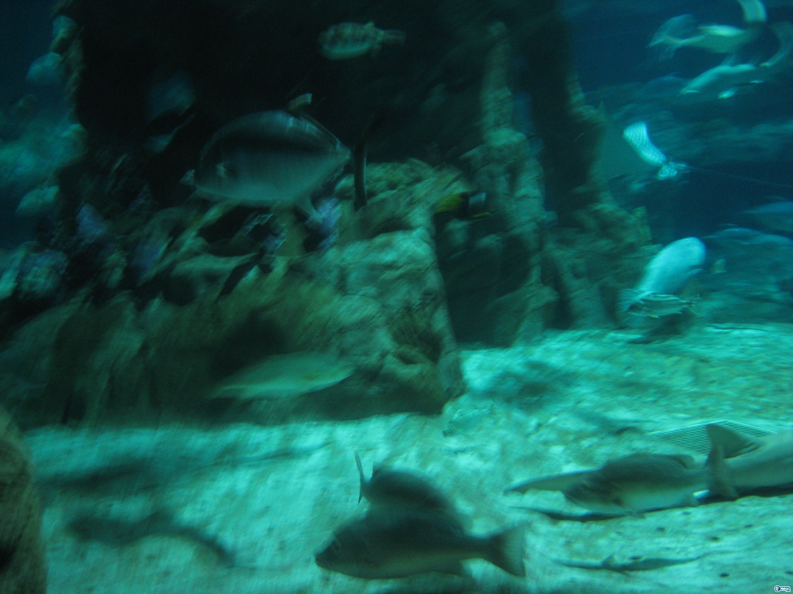 IMG_0337.JPG