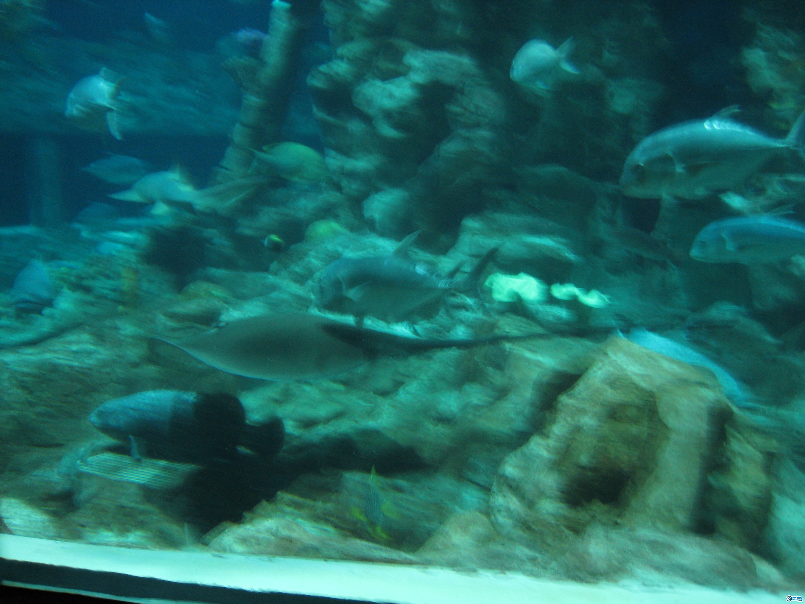IMG_0336.JPG