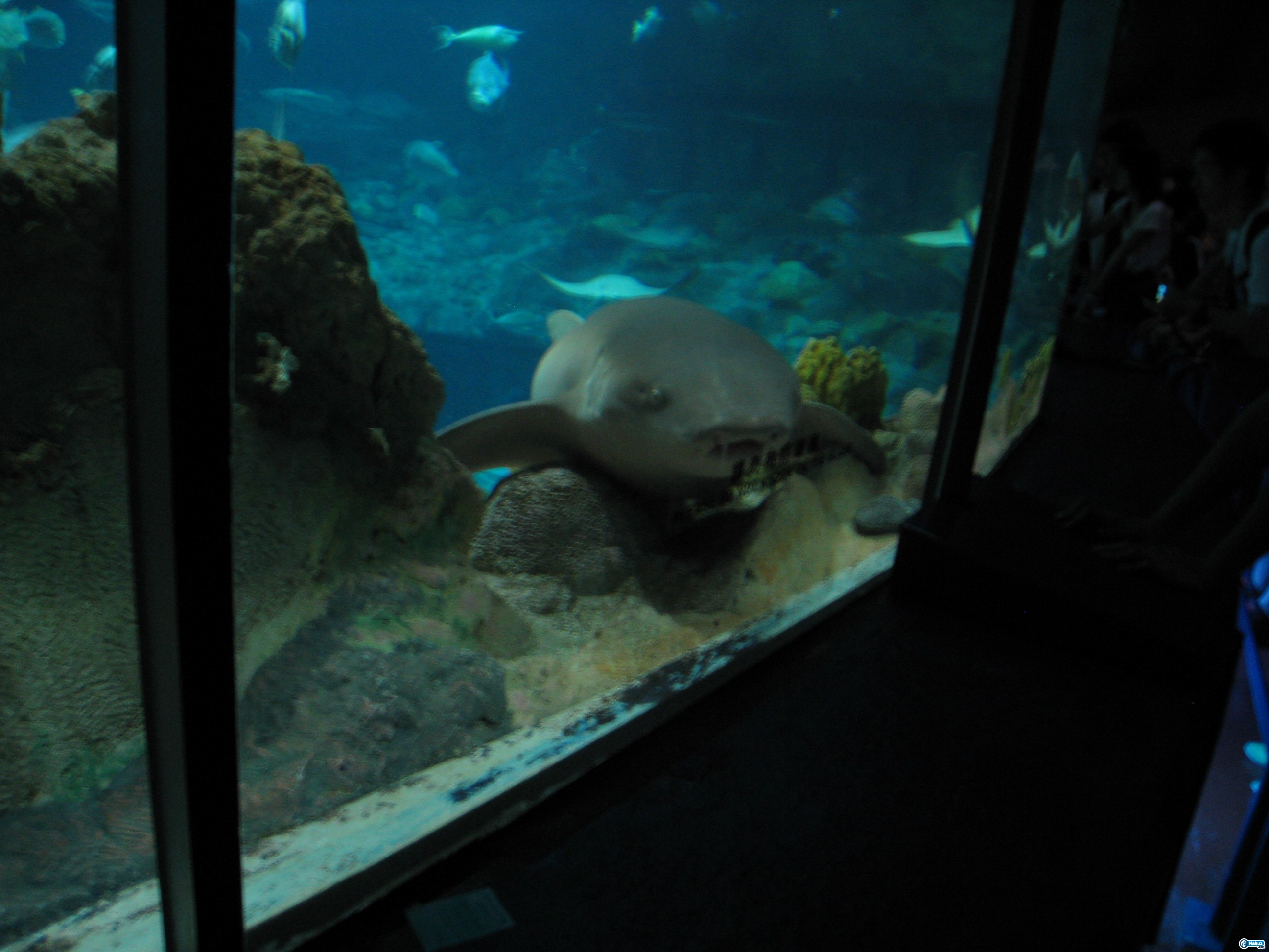IMG_0330.JPG