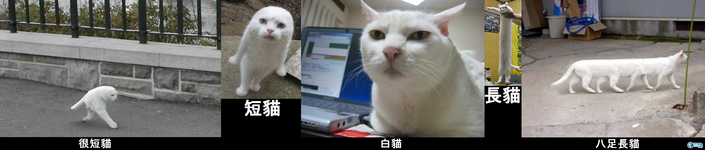1224693655833.png
