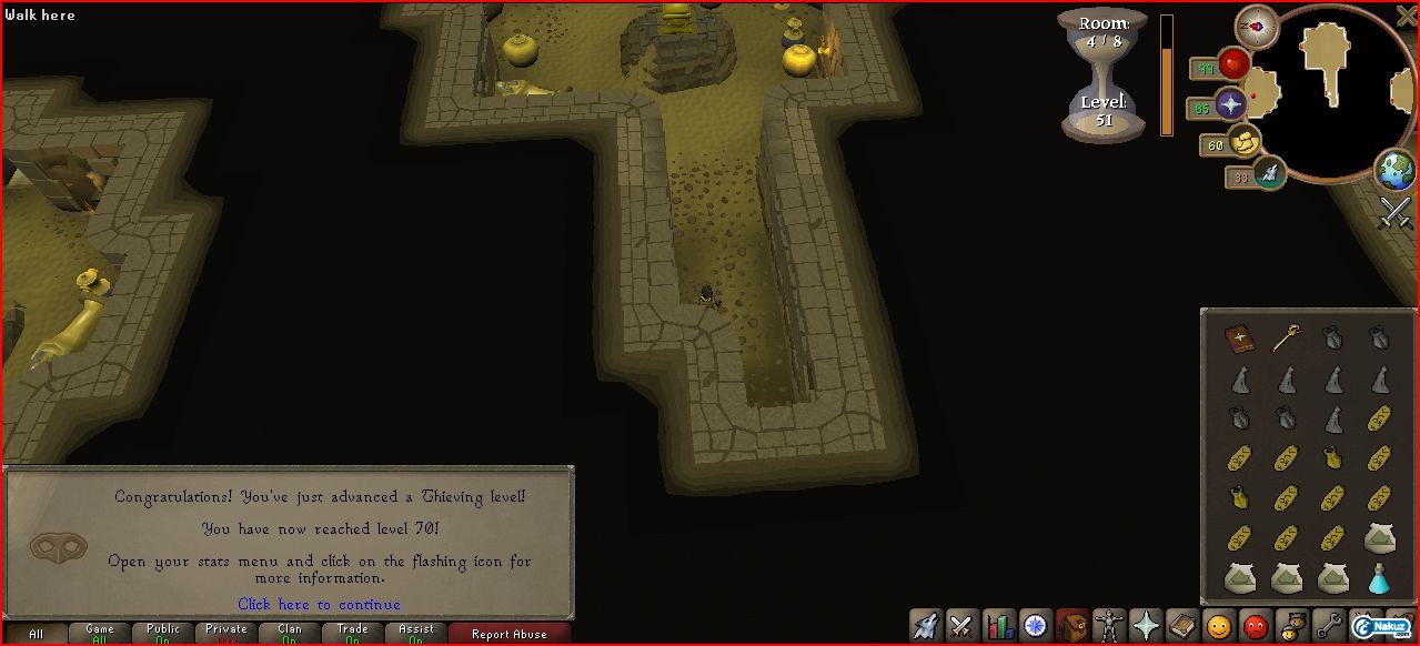 70 thieving.JPG
