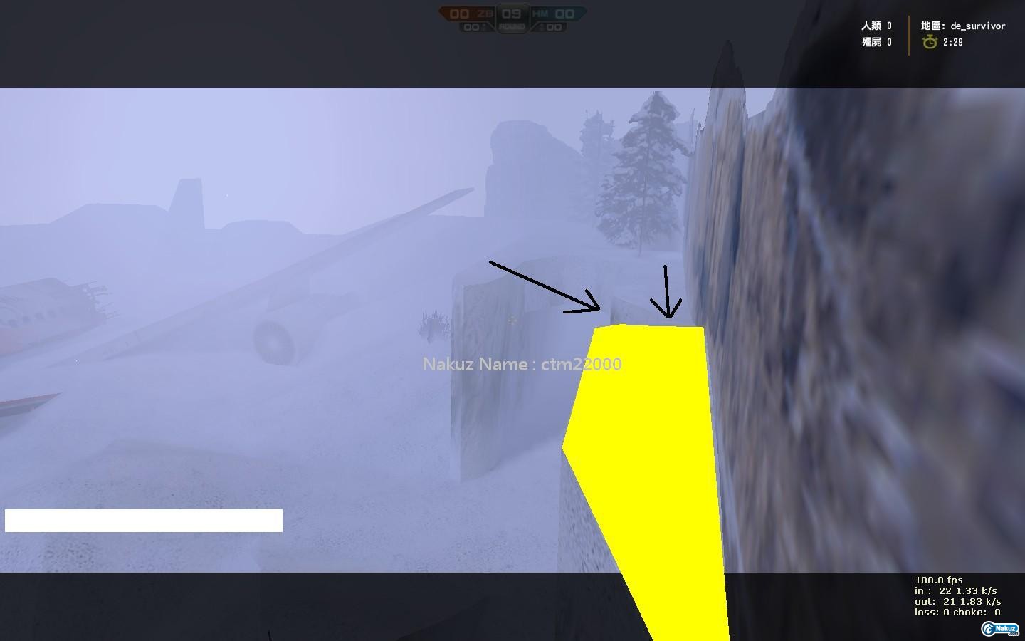 de_survivor0001.JPG
