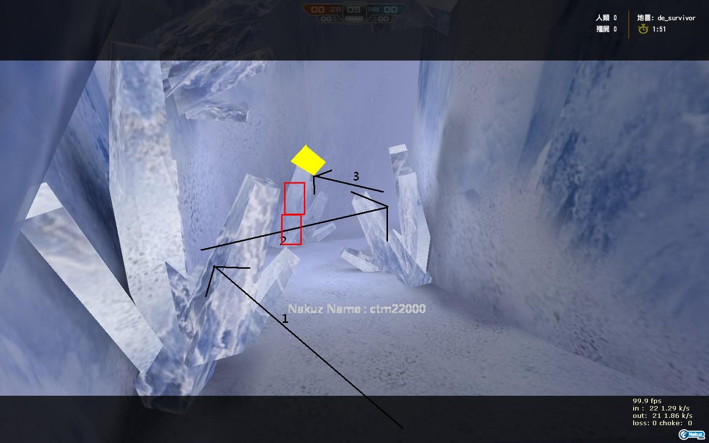 de_survivor0006.jpg