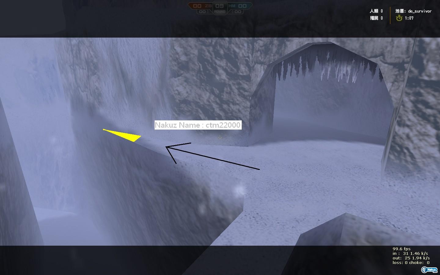 de_survivor0007.jpg