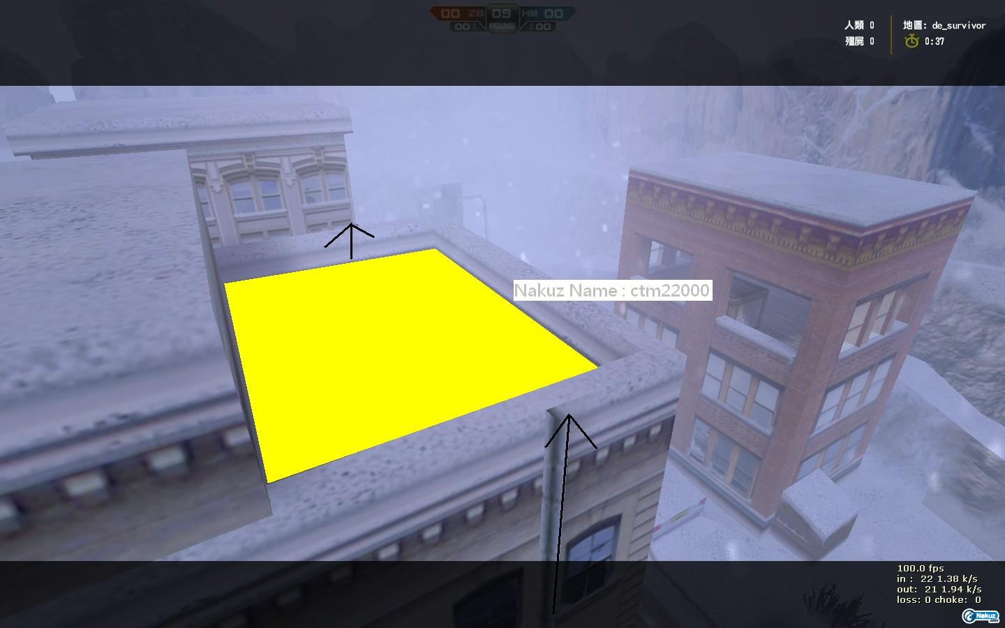 de_survivor0010.jpg