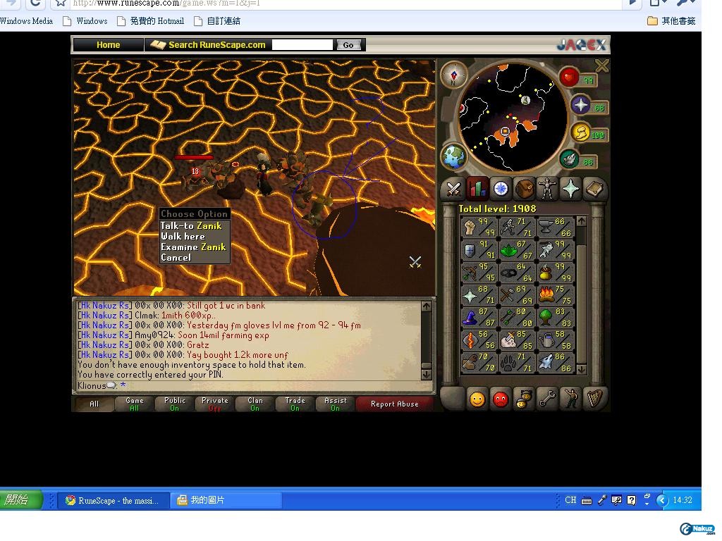 zanik2.JPG