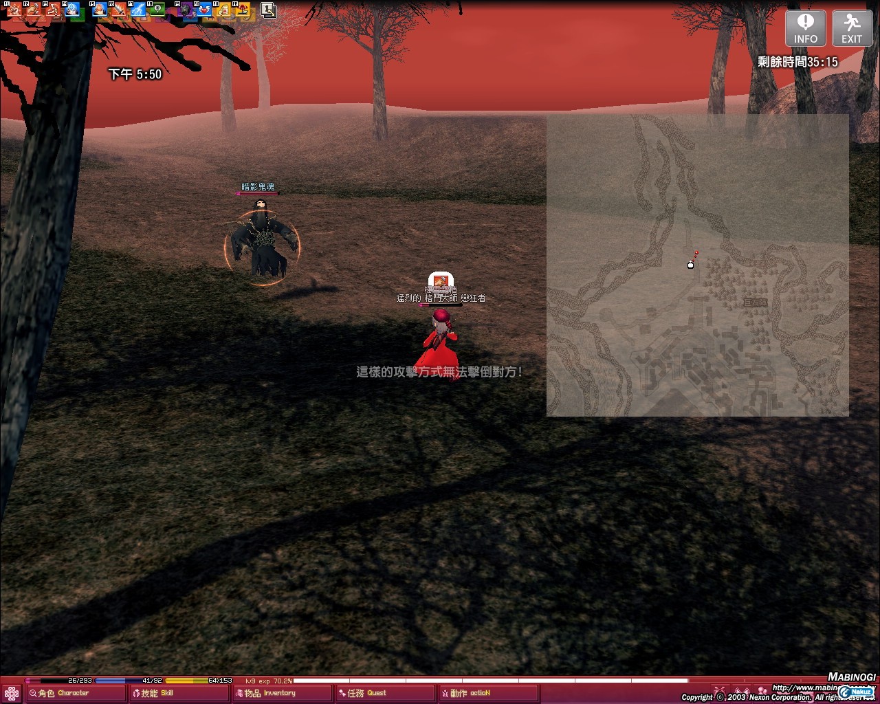 mabinogi_2009_06_22_006.jpg