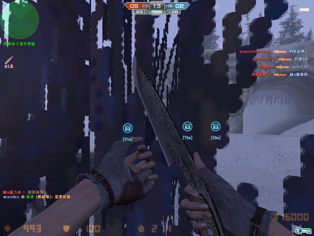 de_survivor0000.jpg