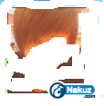 未命名1.PNG