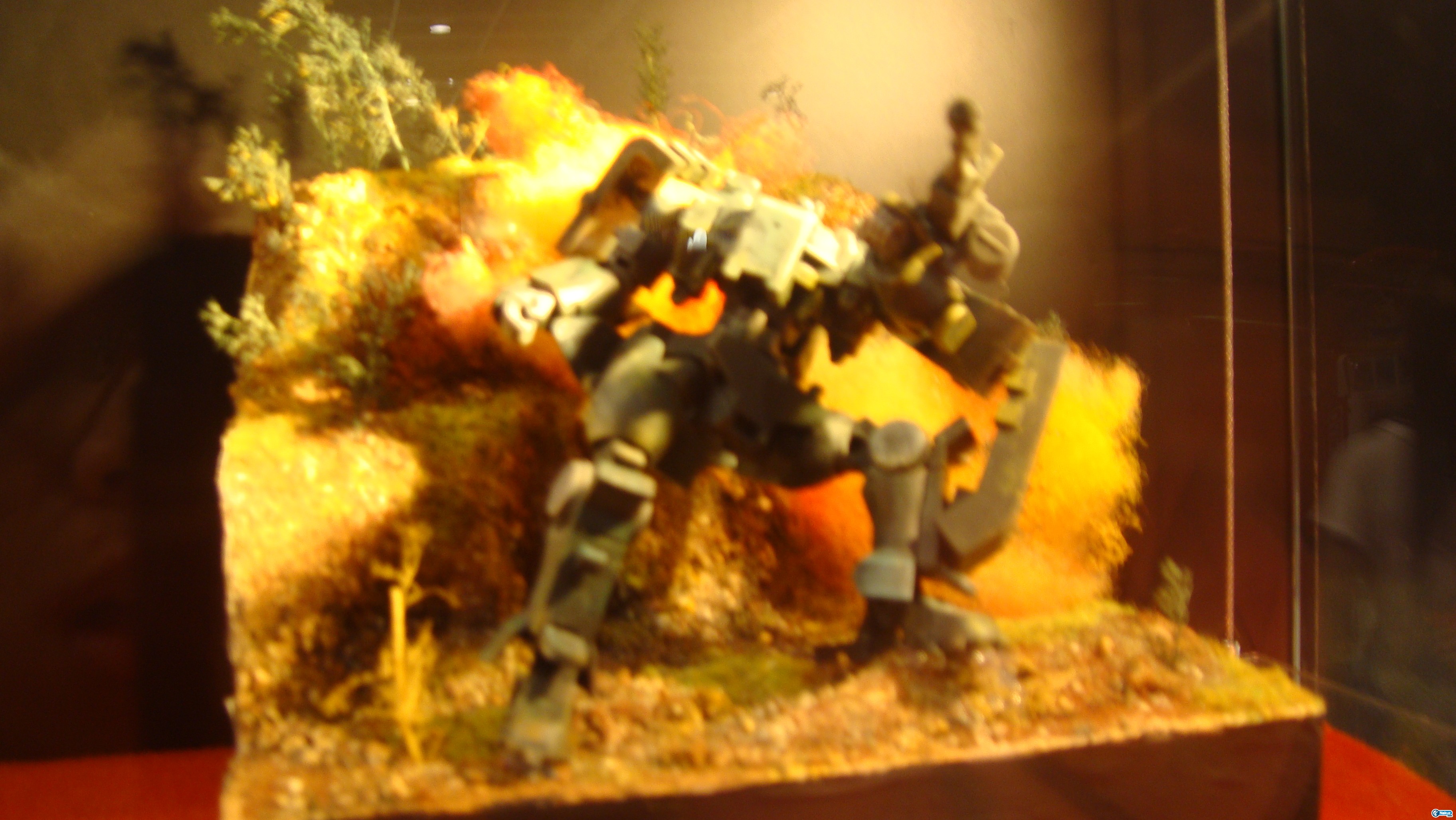 DSC00301.JPG