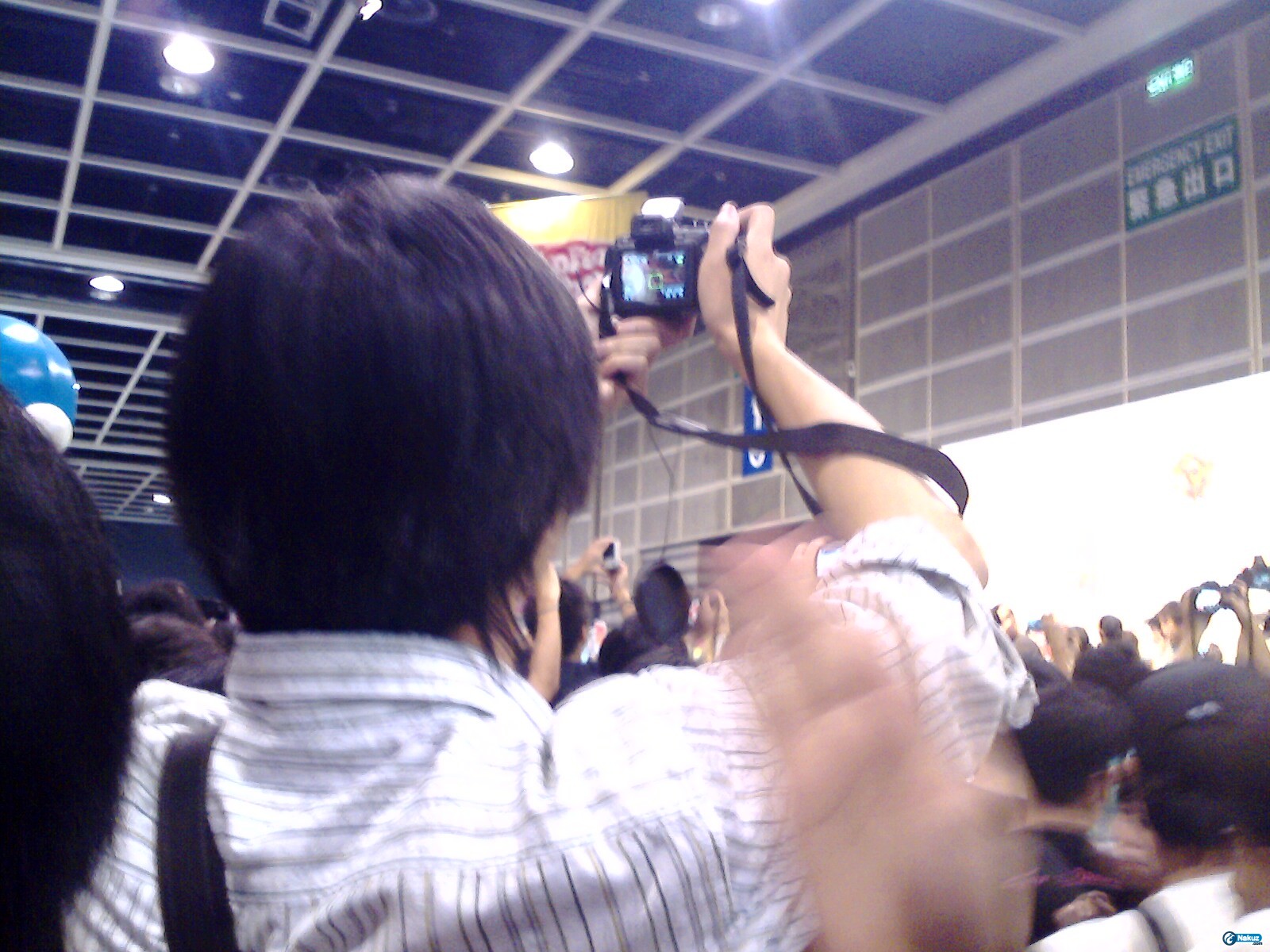 IMG0317A.jpg