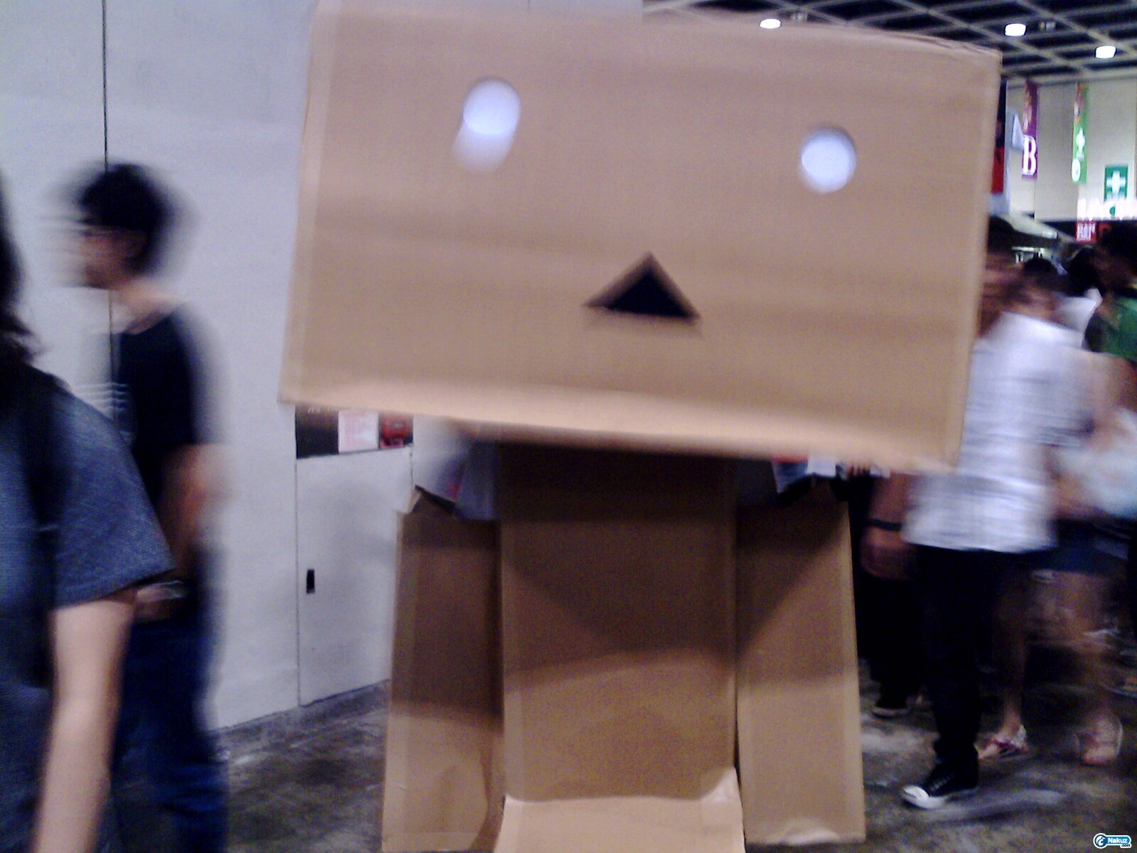 IMG0326A.jpg