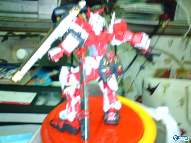 DSC00424.JPG