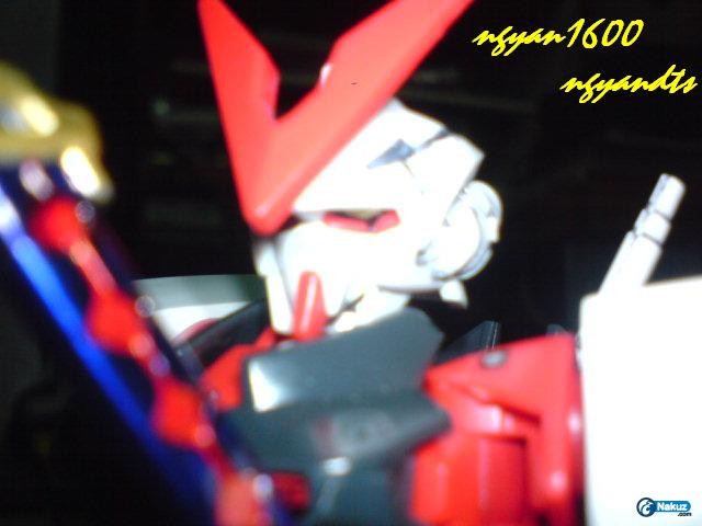 DSC00416.JPG