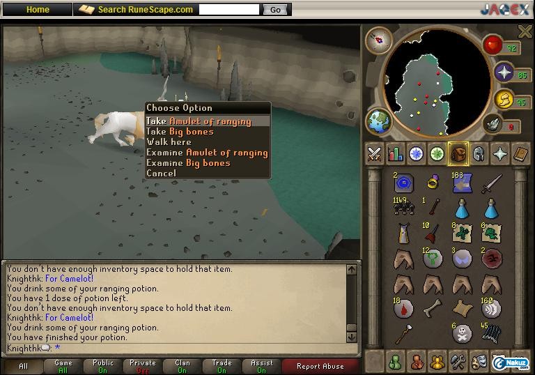 ammy2.jpg