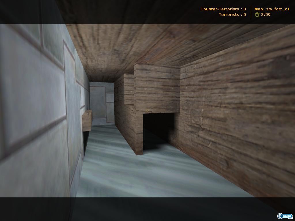 zm_fort_v10011.JPG