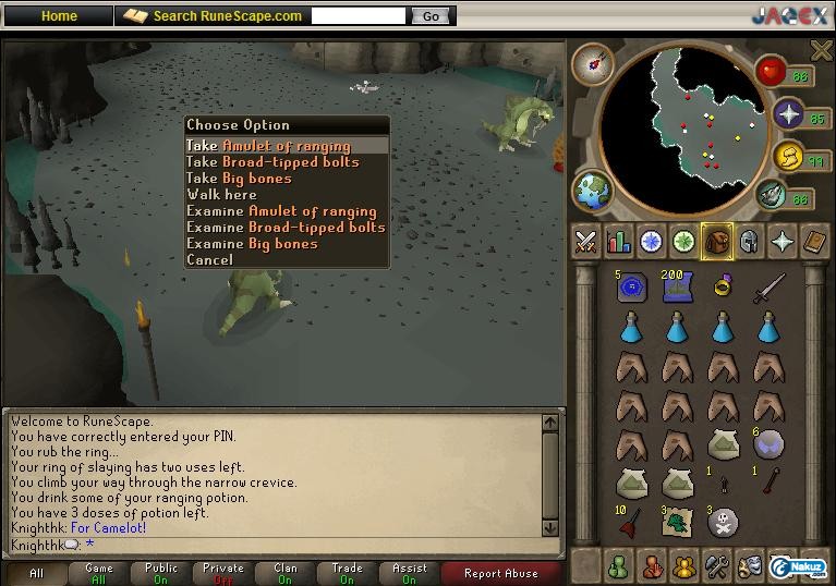 ammy3.jpg