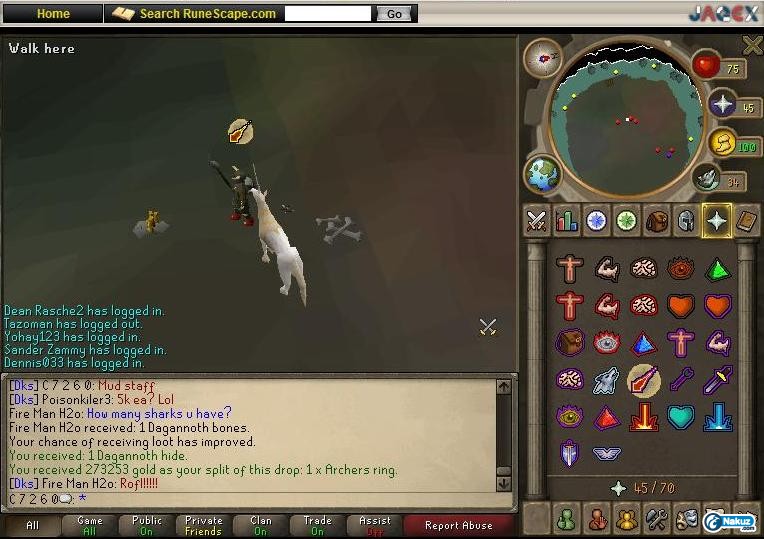 dks3.jpg
