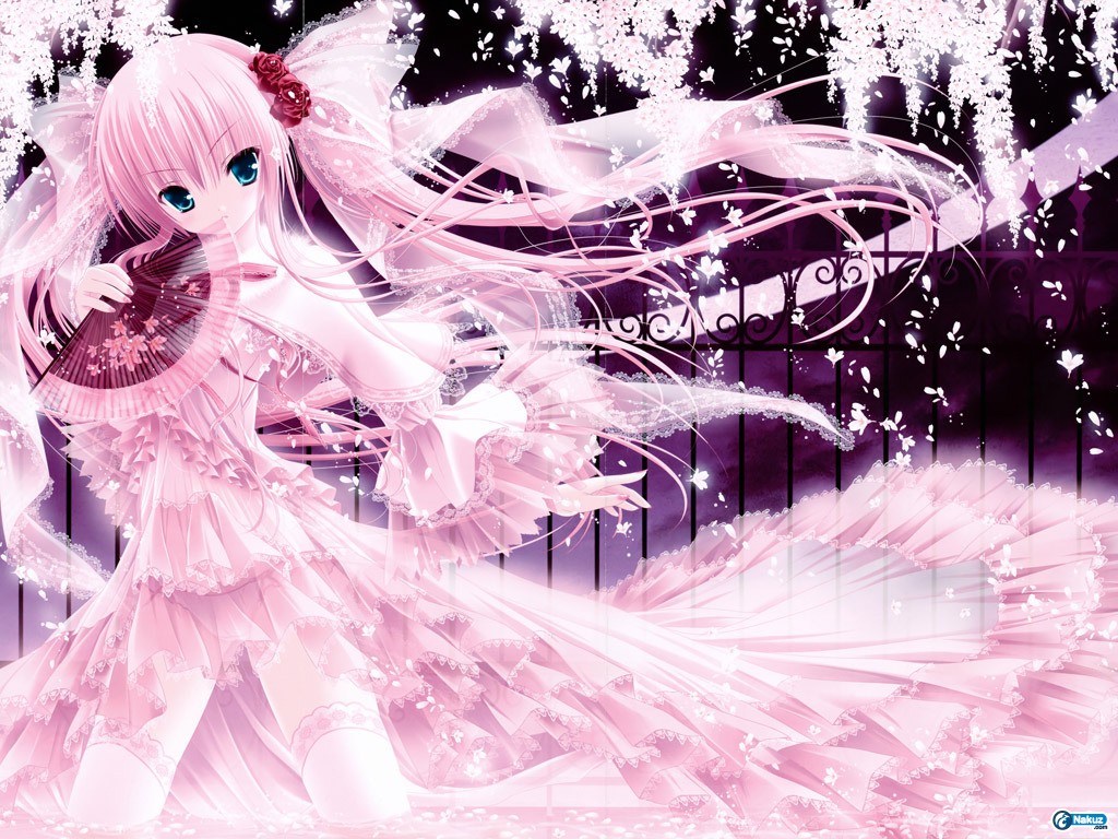 wallpaper13.jpg