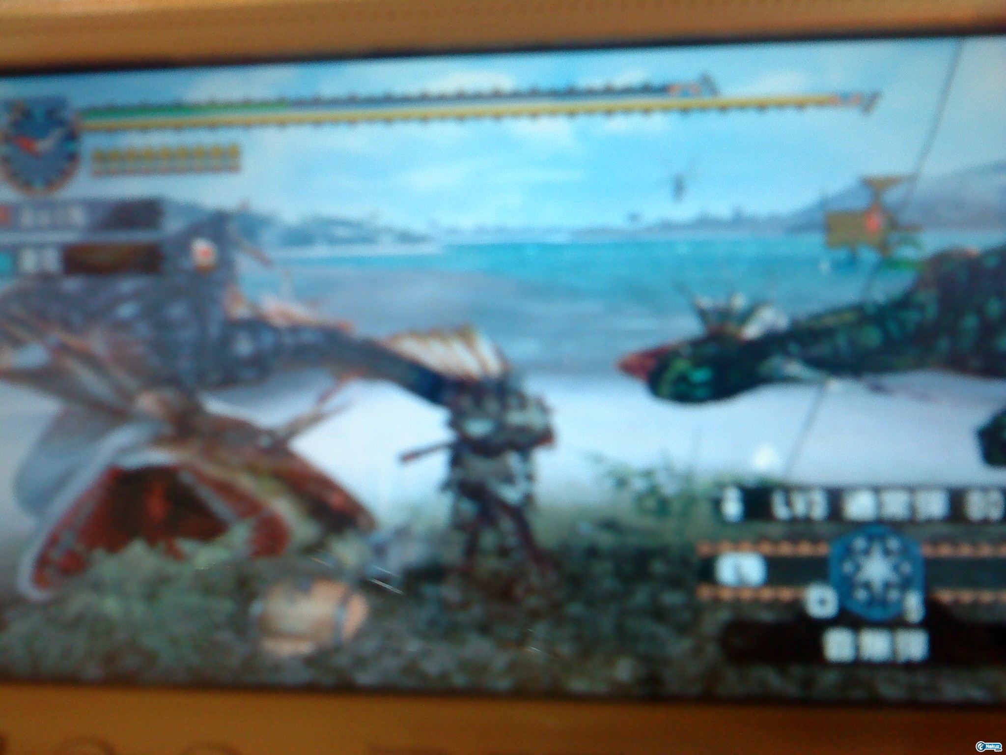 雙水龍.JPG