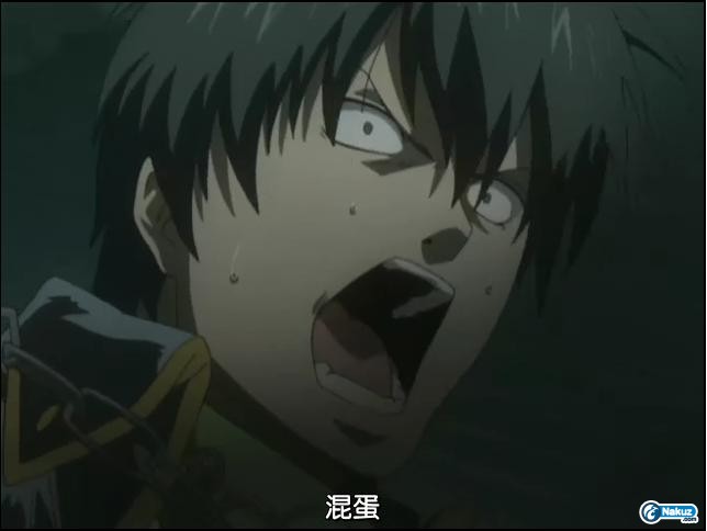 混蛋.jpg
