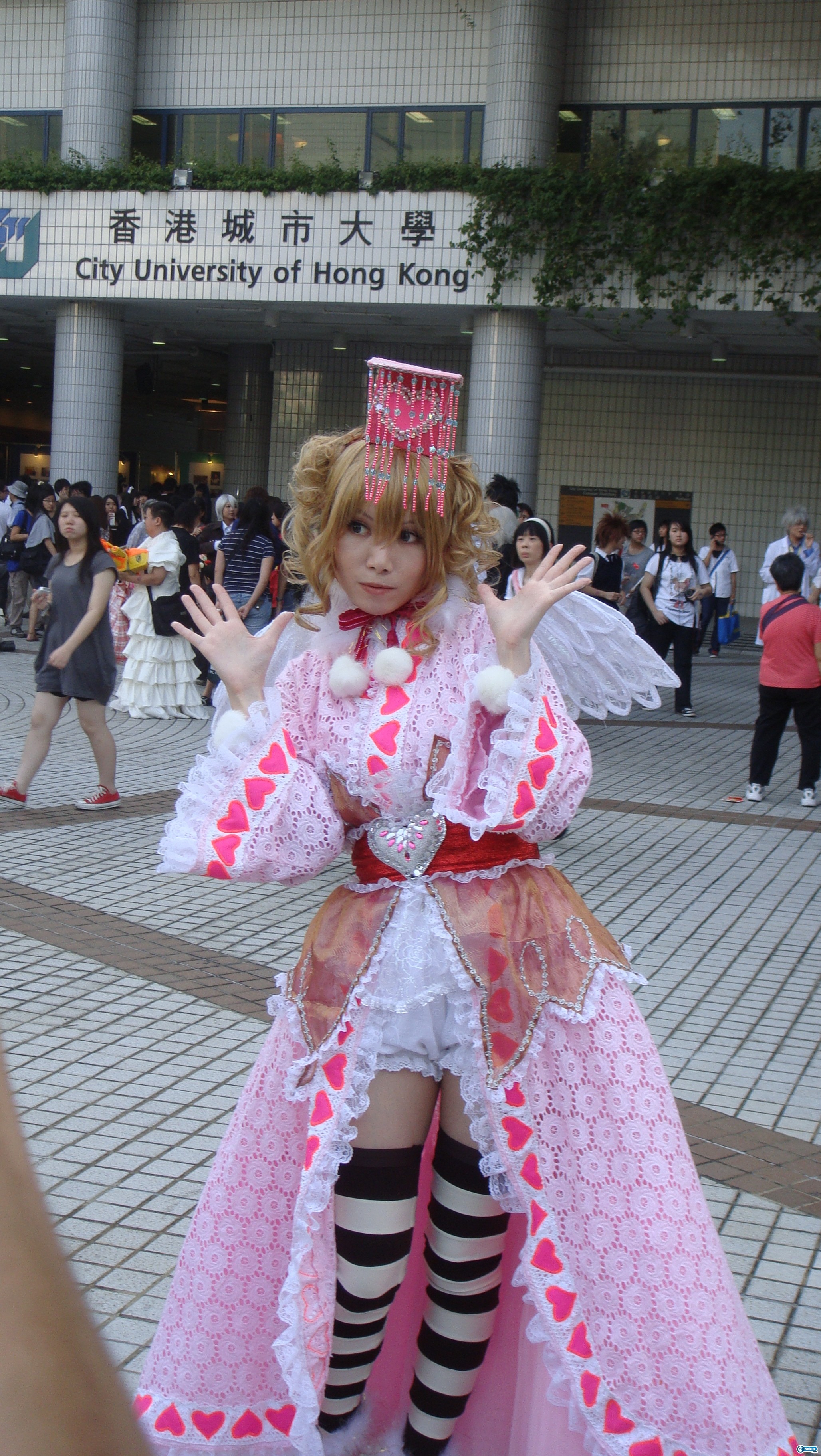DSC00439.JPG