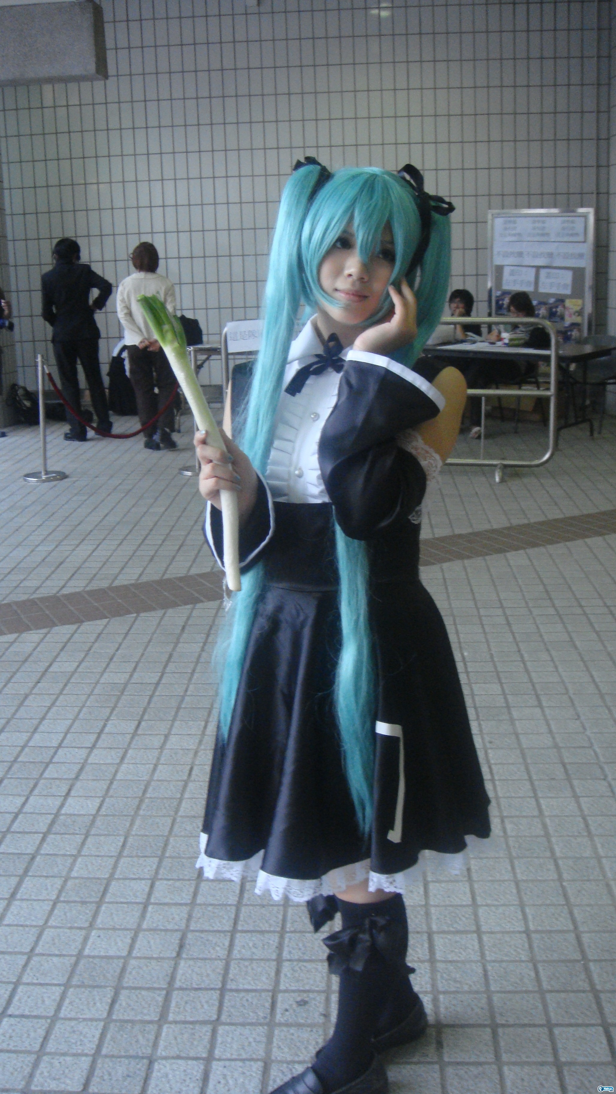 DSC00463.JPG