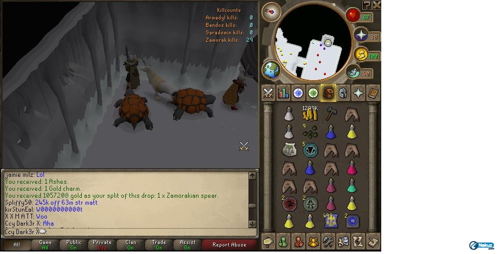 1st zammy spear.jpg