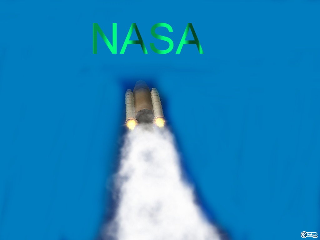 nsas.jpg