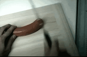 3315340376_d5ef19b58d_o.gif