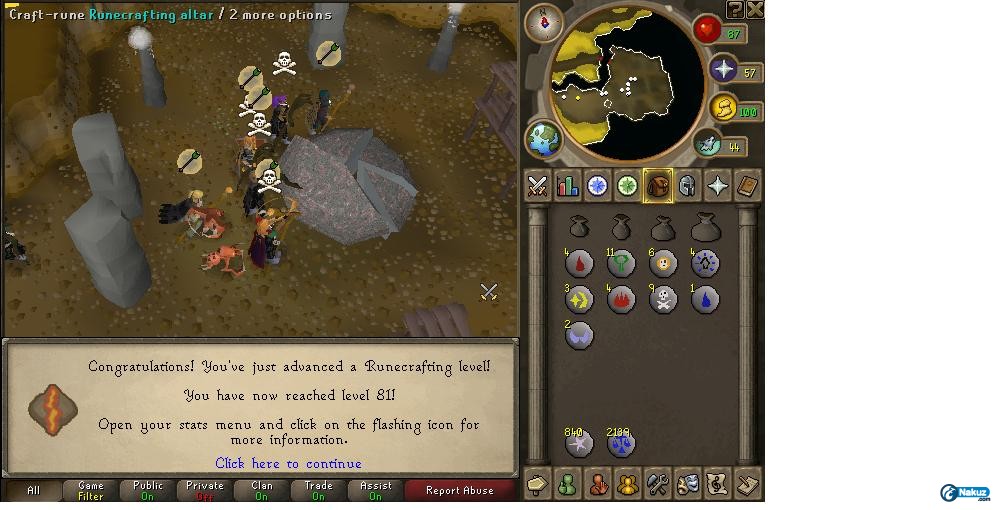 81rc.jpg