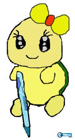 turtle2.jpg