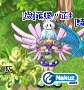 11.png
