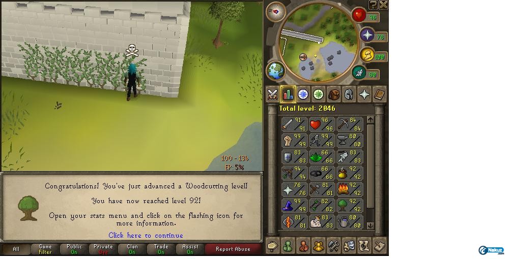 92wc.jpg