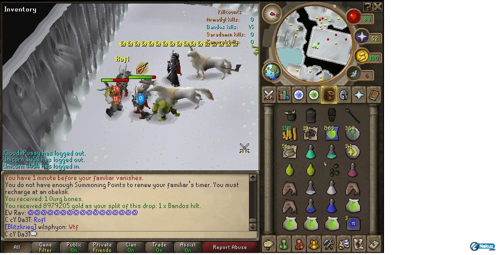 bandos hilt@4.jpg