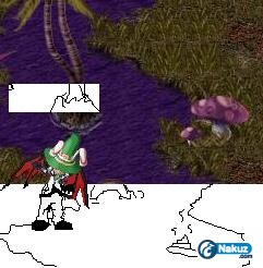 18.jpg