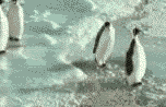 twopenguins04.gif