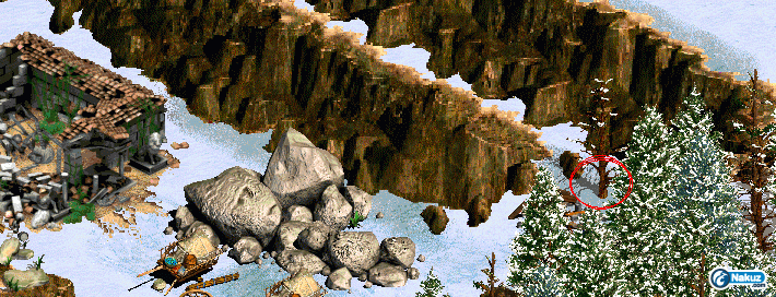 AOK003.GIF