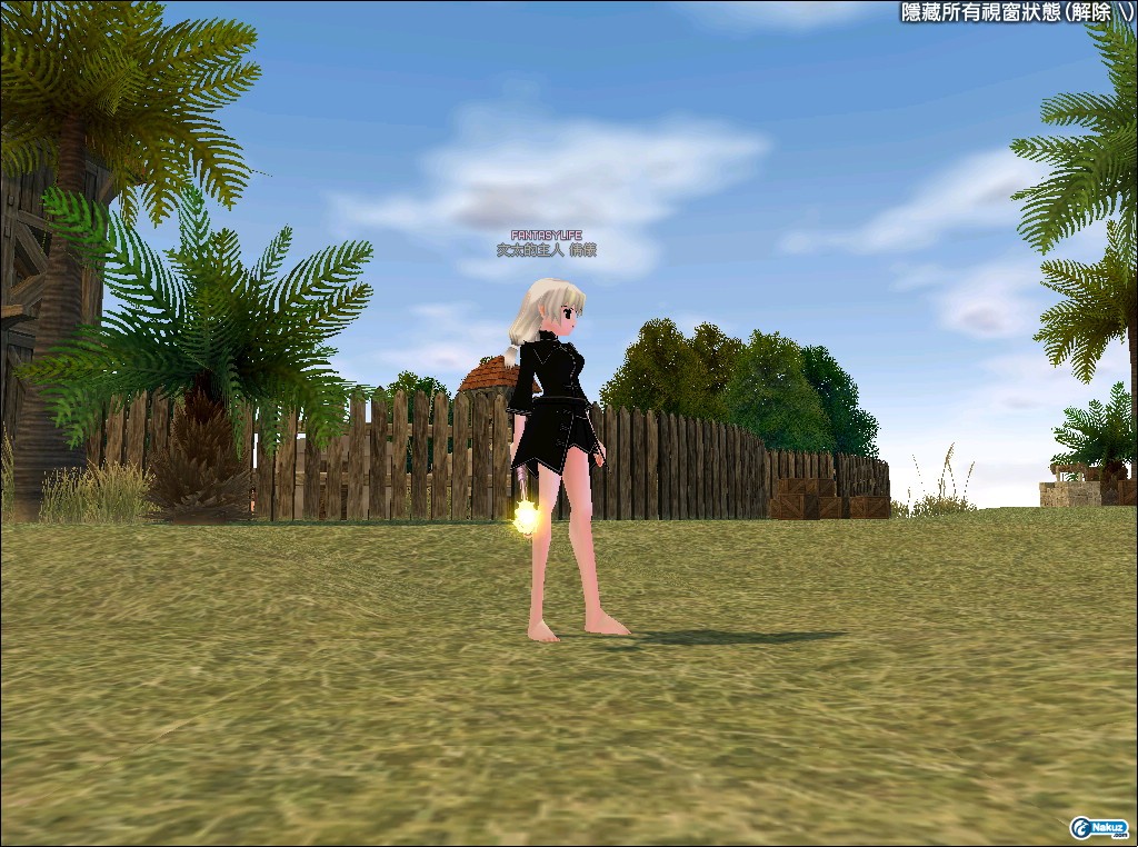 mabinogi_2010_01_16_002.jpg