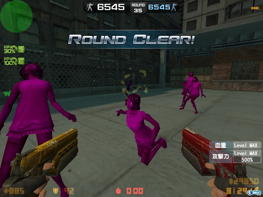 zs_trap0015.jpg