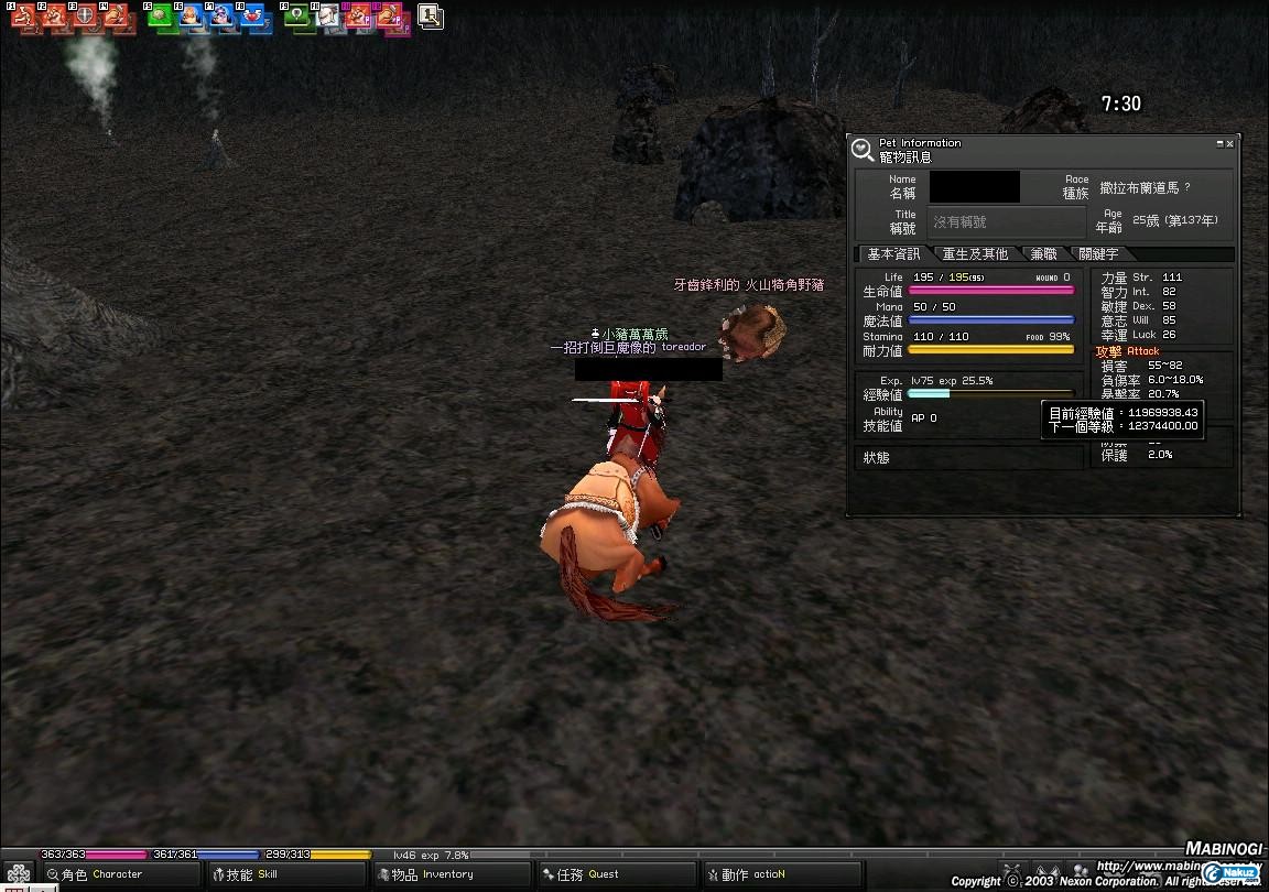 mabinogi_2010_01_26_001.JPG
