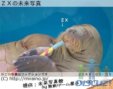 mirai.jpg
