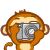 影相.gif