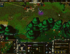 War3 2010-03-01 00-44-21-68.gif