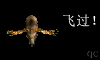 神豬